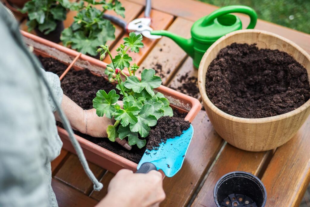 woman planting in a window box