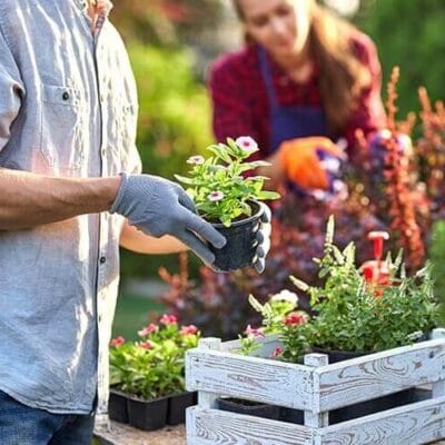 woman gardening